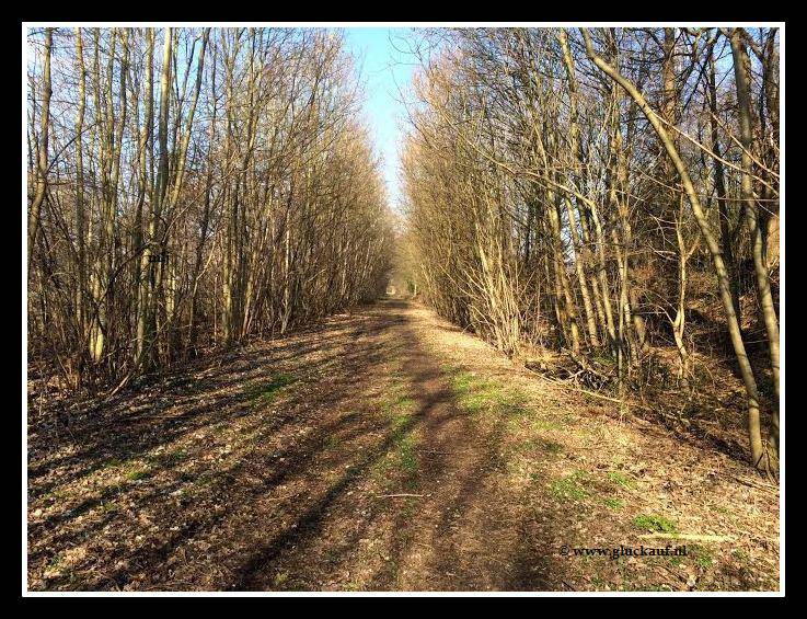 Voormalige mijnspoor richting Stm. Maurits. © www.gluckauf.nl