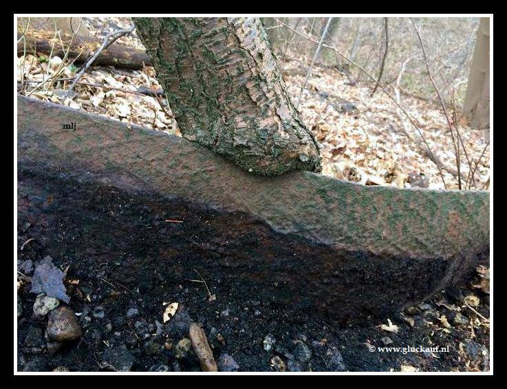 Metalen plaat van de voormalige mijnbrug, door de jaren in een boom gegroeid. © www.gluckauf.nl