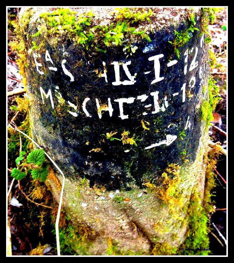 Een grote paal, vlak bij de voormalige schacht 4. Met de tekst EA ( Stm. Emma), Schacht 4, Ms ( Stm. Maurits) schacht. Volgens ons liepen er leiding van Stm. Emma naar Schacht 4 en naar Stm. Maurits. © www.gluckauf.nl