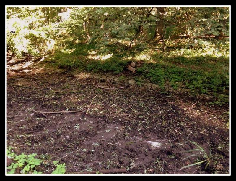 Uitloop beek van de voormalige slikvijver van Schacht 4. Je ziet nog duidelijk het opgedroogde slik liggen. © www.gluckauf.nl