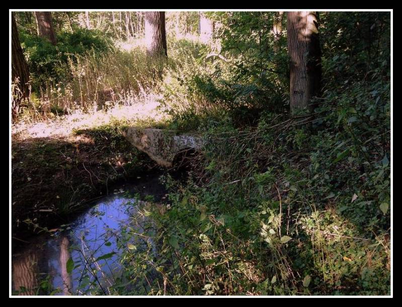 Verder op bij de slik vijver, ligt ook nog een oude duiker. Van de Schacht 4 Mijn. © www.gluckauf.nl