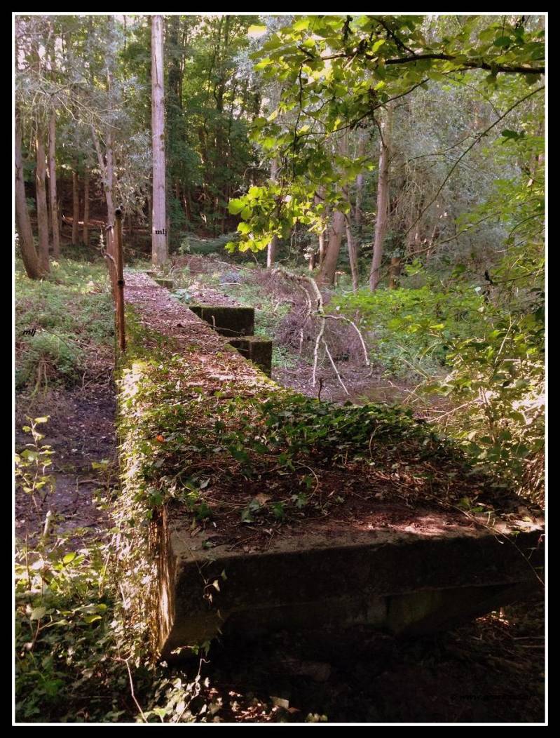 De loopbrug en de stuw bij de voormalige Schacht 4 in Schinnen. Achterdoor op de foto zie je een steile heuvel. Hierop liep het voormalige spoor van en naar de Stm Emma &amp; Stm. Maurits. © www.gluckauf.nl