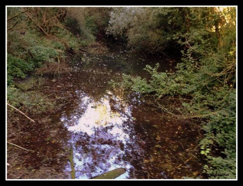 Voormalige slikvijver van Schacht 4. © www.gluckauf.nl