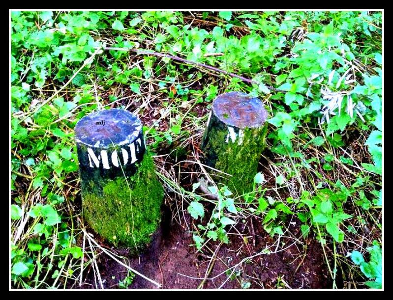 Er staan ook twee palen in de grond bij de slikvijver met daarop de tekst SM en MOF 6. © www.gluckauf.nl