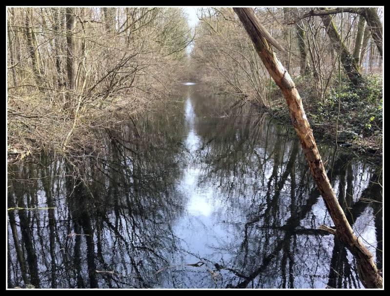 Kanaaltje dat liep naar de voormalige slikvijver van Schacht 4. © www.gluckauf.nl