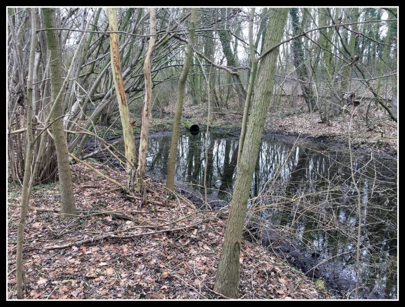 Kleine stuw van de voormalige schacht 4. © www.gluckauf.nl