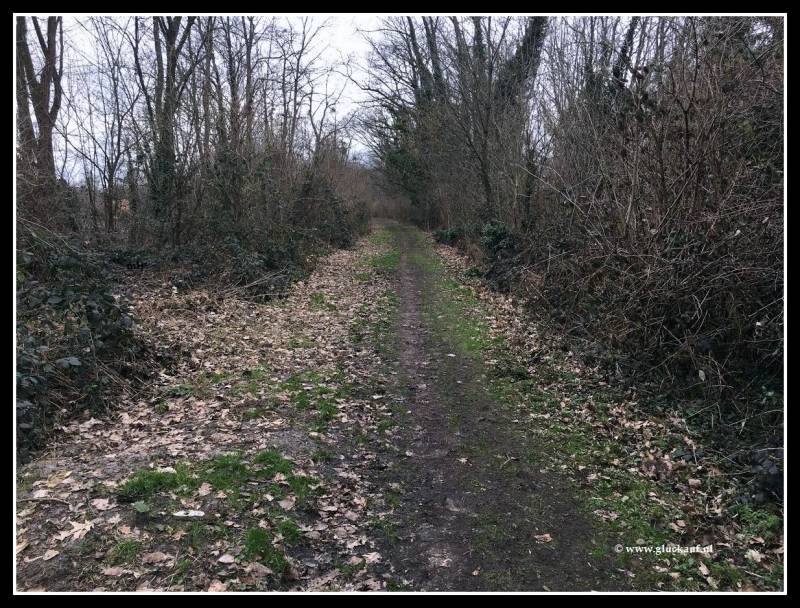 Voormalige spoorweg in Schinnen. © www.gluckauf.nl