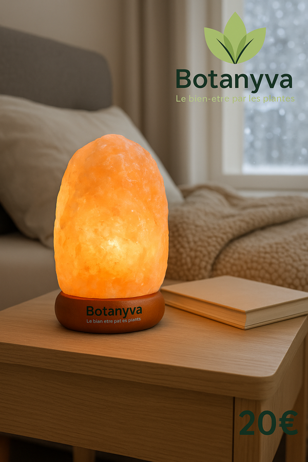 ✨ Lampe en Sel Rose de l’Himalaya – Éclat naturel et bien-être intérieur ✨
