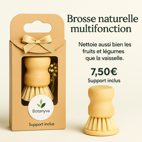 🌿 Brosse Naturelle Multifonction