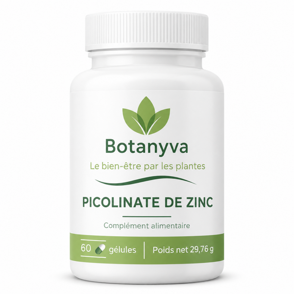 Picolinate de Zinc – Immunité, peau & équilibre métabolique