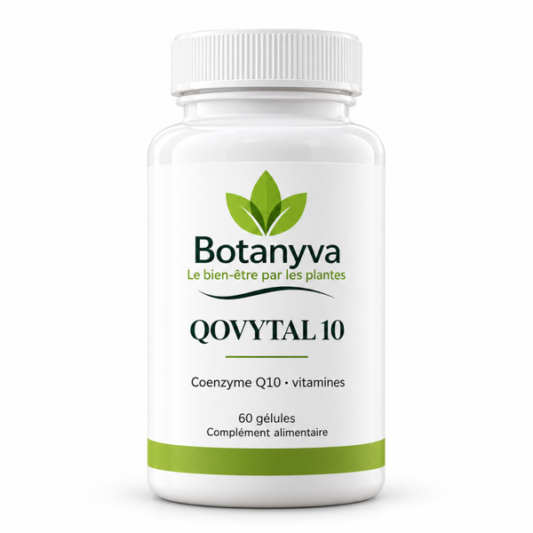 Qovytal 10 — Coenzyme Q10 et vitamines