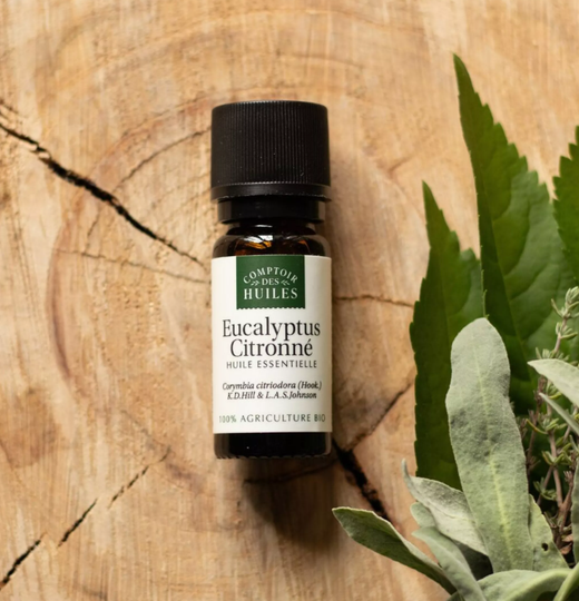 Huile Essentielle d'Eucalyptus Citronné BIO - 10ml  Comptoir des Huiles