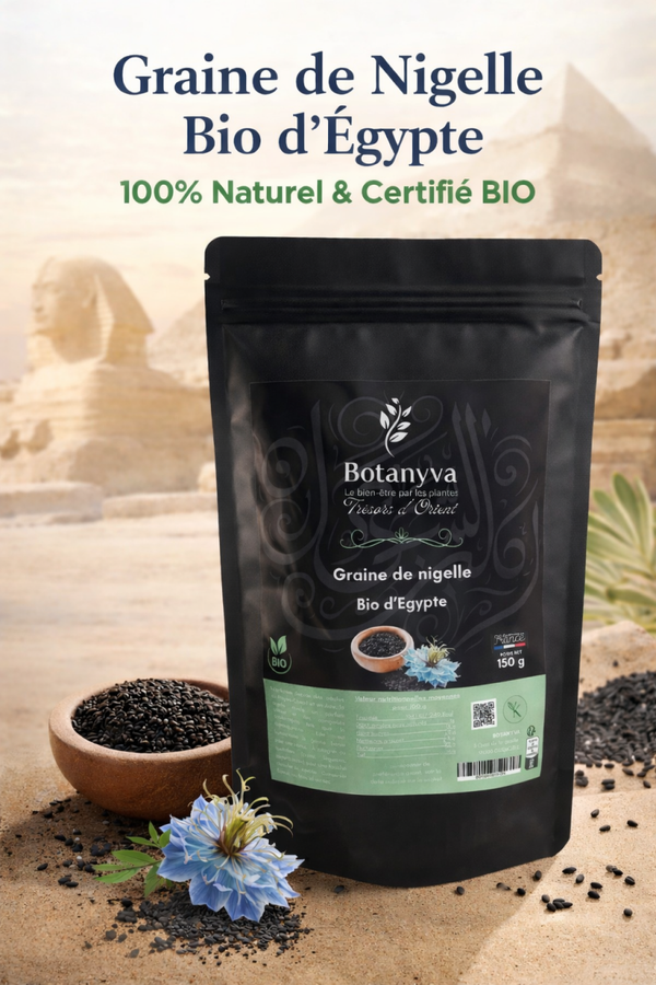 Graine de Nigelle Bio d’Égypte – BOTANYVA