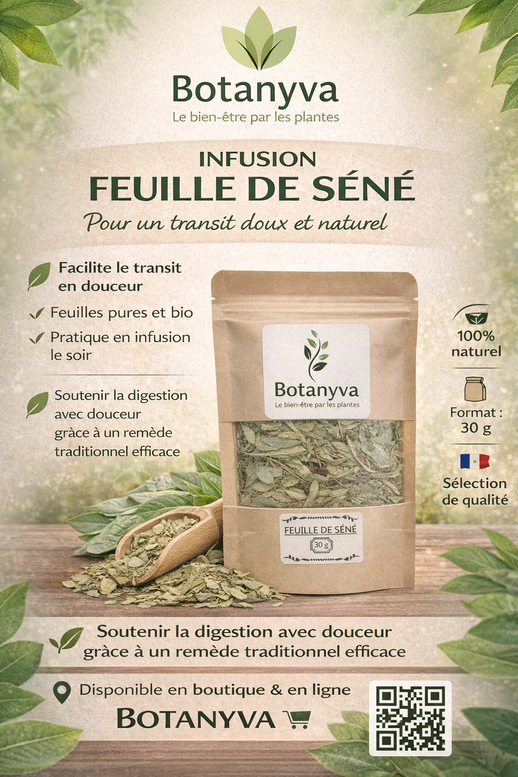 Feuille de Séné – Infusion naturelle