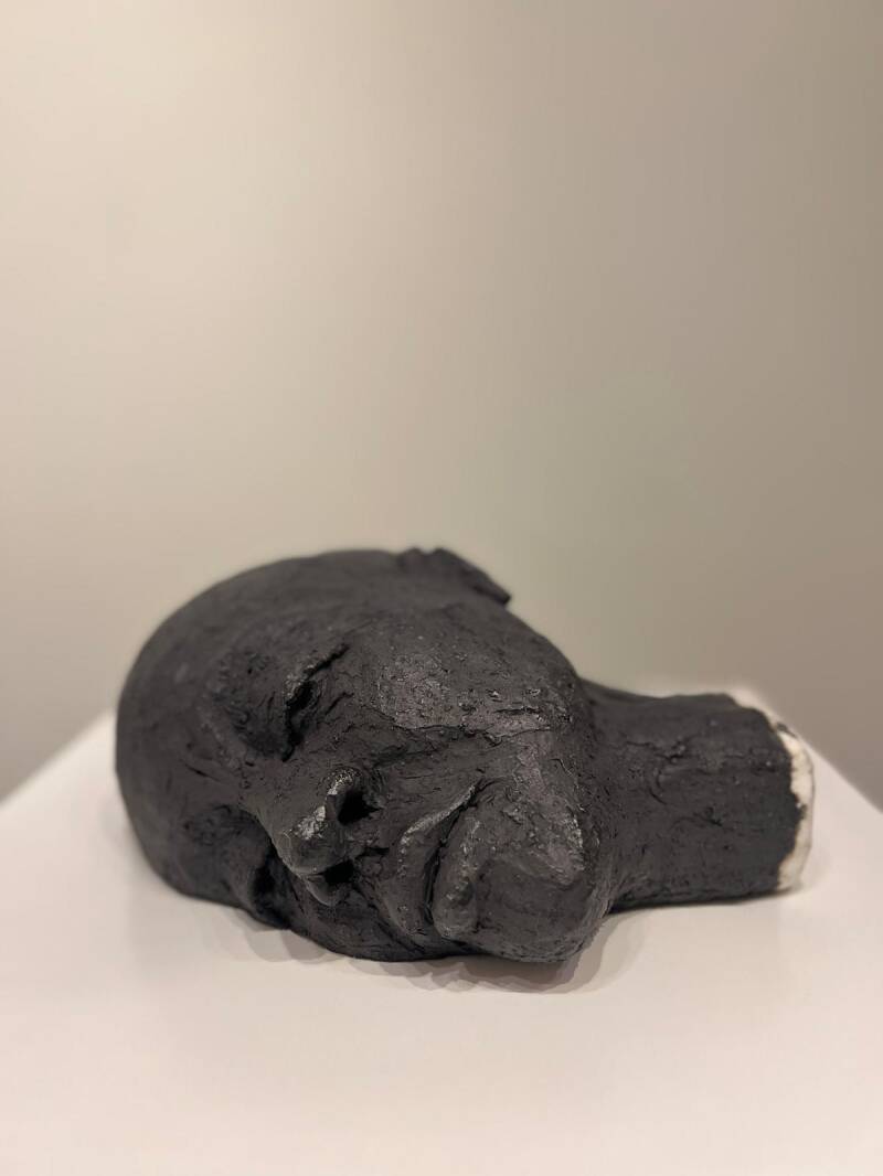 SCHADUW VAN DE ZIEL h: 13cm b: 30cm. 300euro