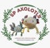 Sweet Baby Axolotls (Ax-O-Lotls) Looking for Forever Homes