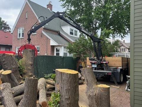 Tree Removal