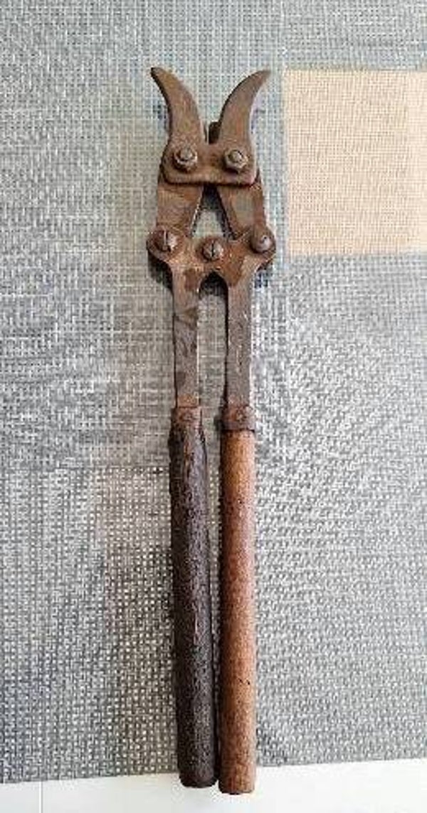 pince coupe barbelé grand modèle anglaise ww1 n°2