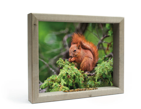 Vogelfutterlister -  Eichhörnchen 41x34 cm