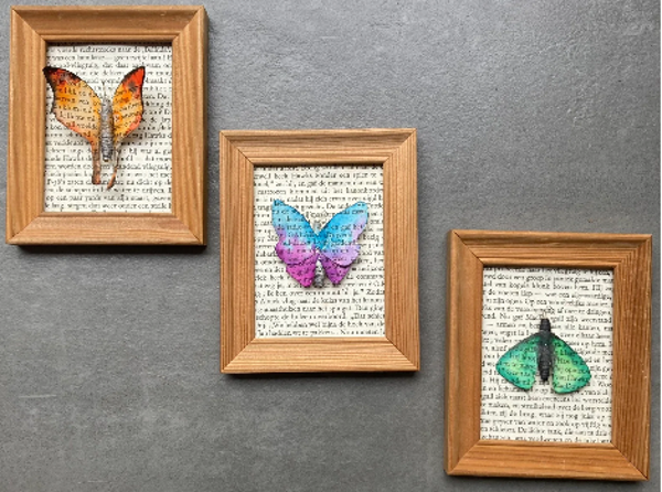 1,2,3,4 insectje van papier zondag 1 maart (6-12 jaar)