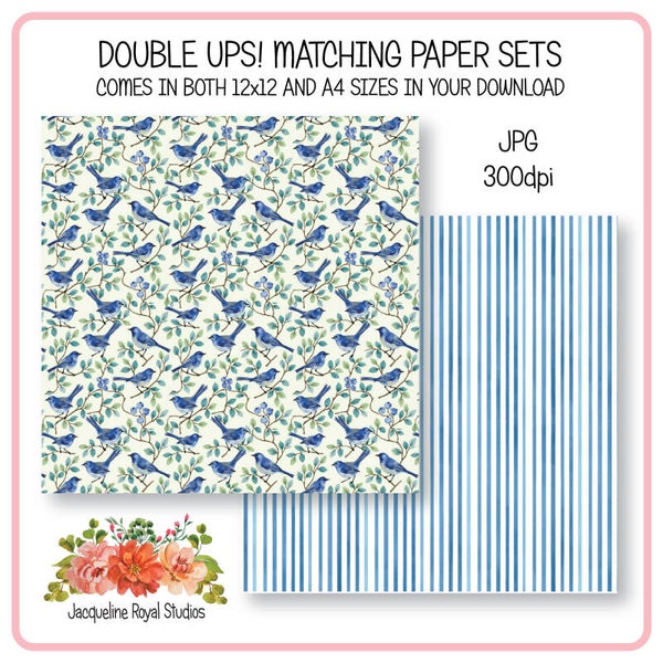 Blue Bird papers