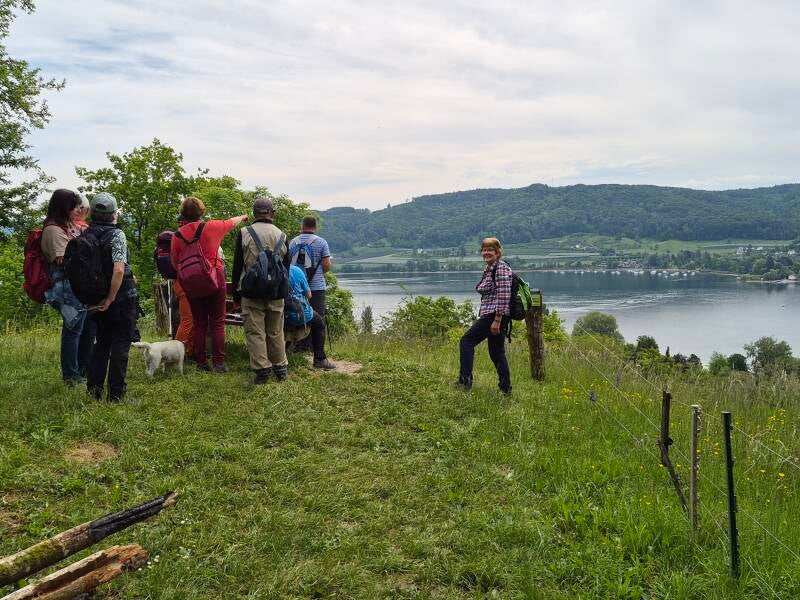 2026-05-10_hoeriwanderung_aussicht-ueber-kattenhorn-standard.jpg
