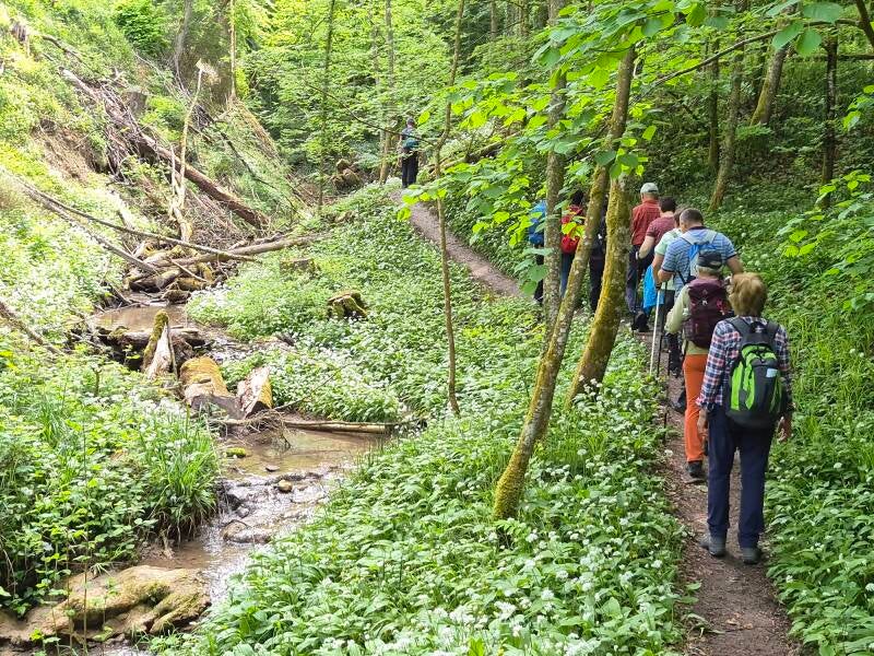2026-05-10_hoeriwanderung_im-tobel-pfad-standard.jpg