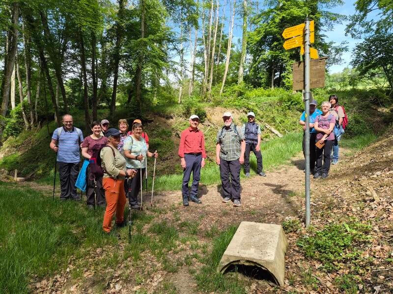 2026-05-10_hoeriwanderung_im-tobel-wegweiser-standard.jpg
