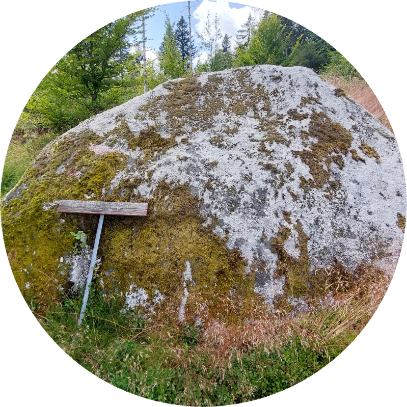 Riesenzeh