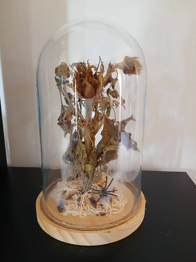 L'araignée