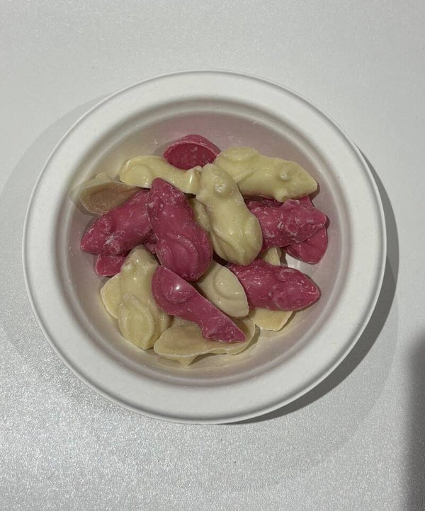 Pink and White Mice