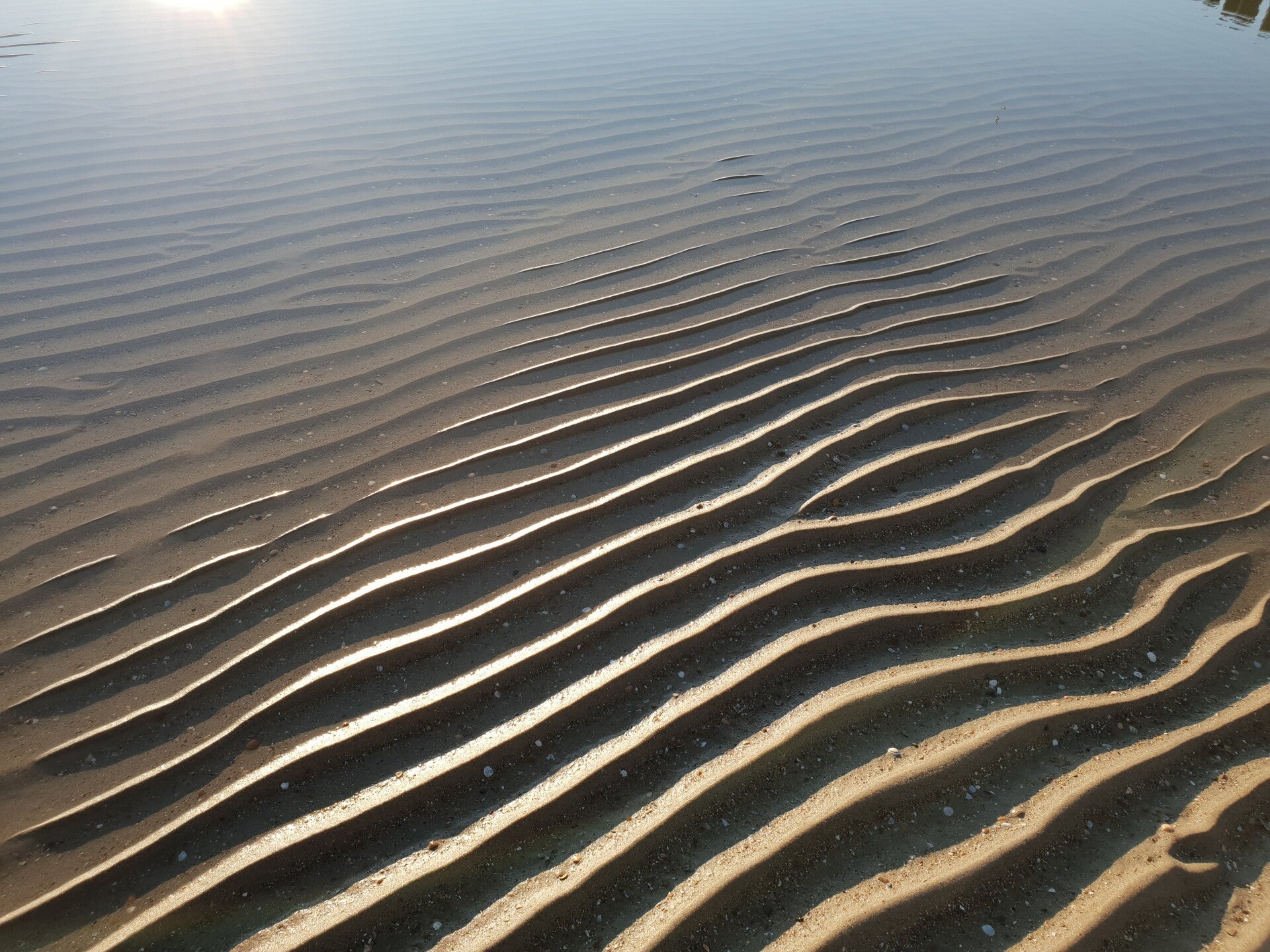 Rebalancing Zeeland Wat is Rebalancing  Zonsondergang in het bos