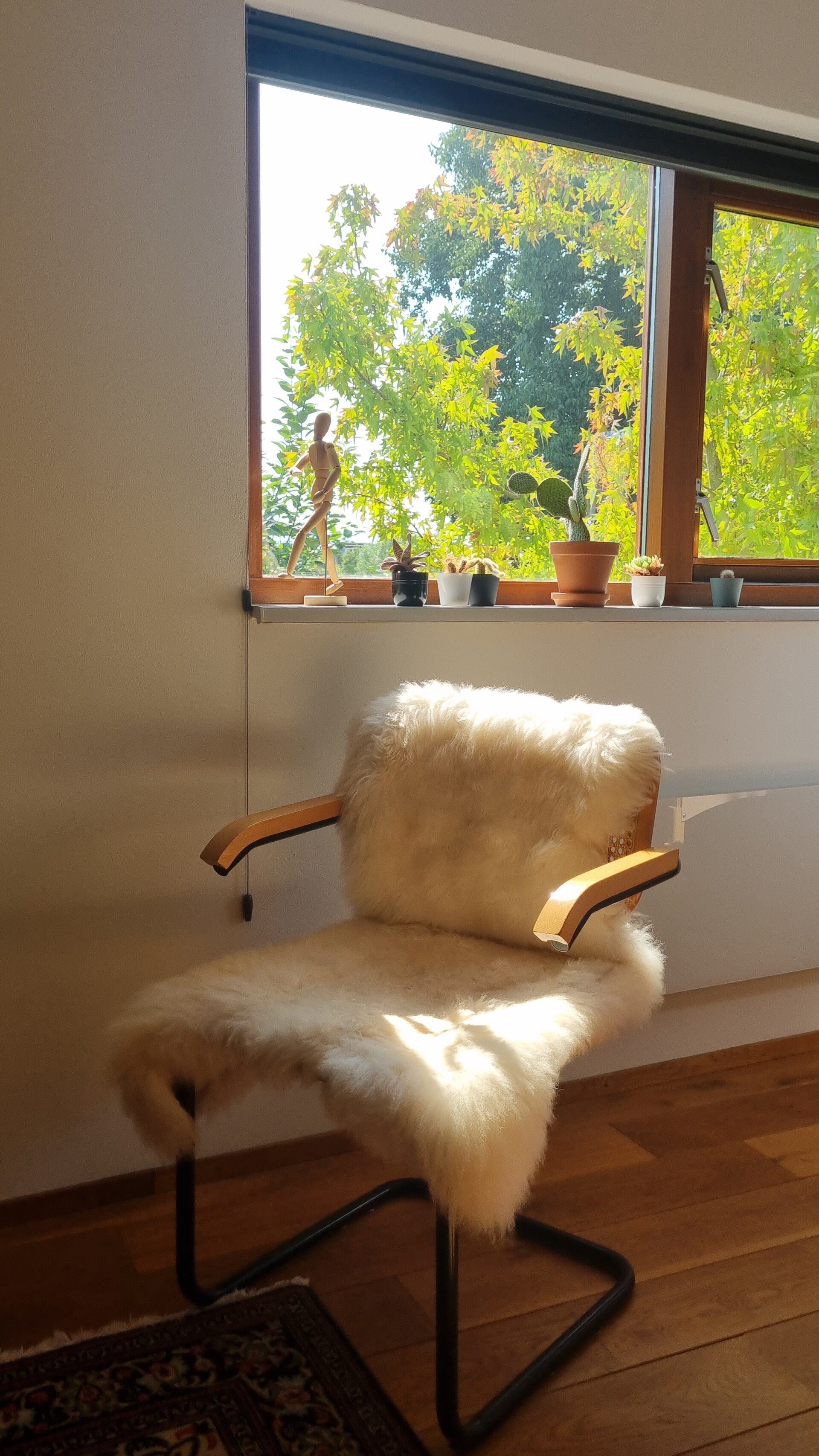 Rebalancing Zeeland praktijkruimte stoel