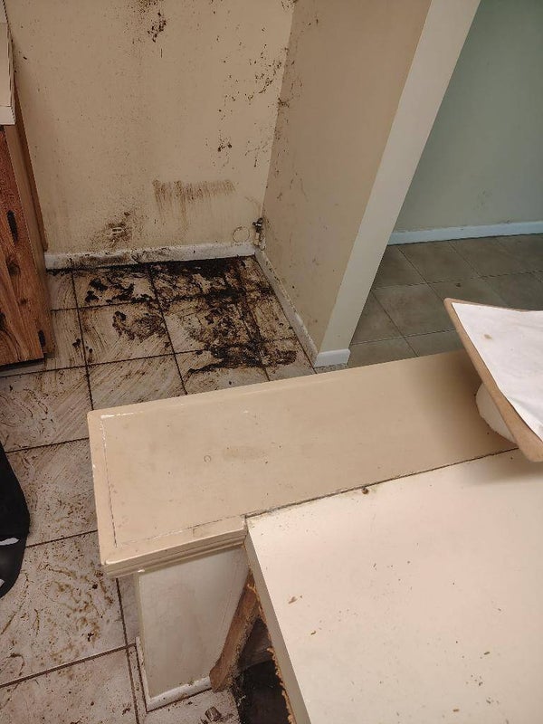 Deep clean (studio ,1bedroom and 2 bedroom)