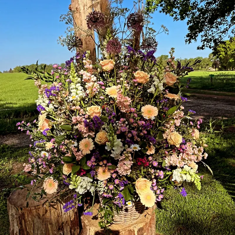 img_20260528_201720_376-standard.webp