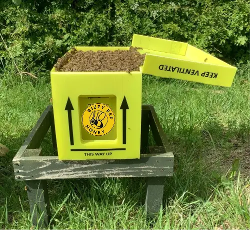 Langstroth Summer Nuc Of Bees