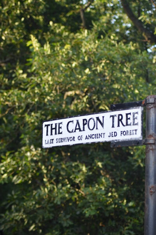 Capon Tree sign
