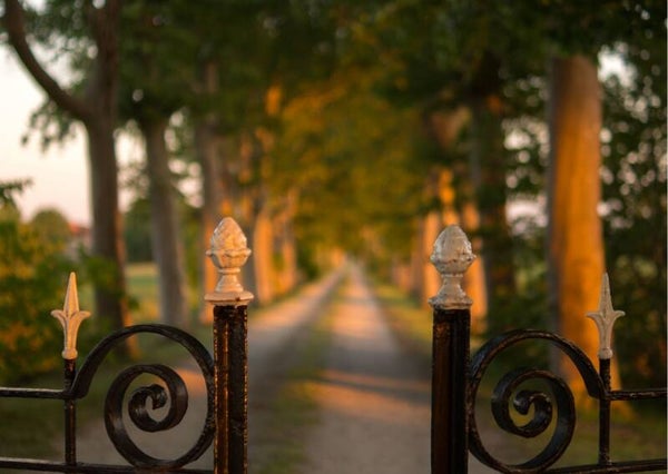 Workshop ° Medium Werden - Ab 15.06.  6 Monate