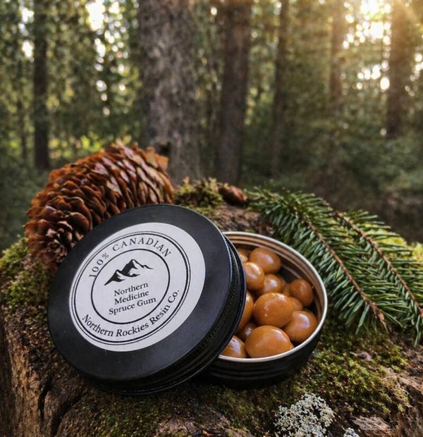 Northern Medicine spruce Gum