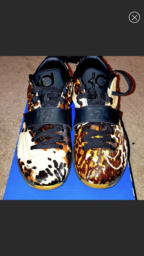 2015 KD 7 EXT QS 'Longhorn State'