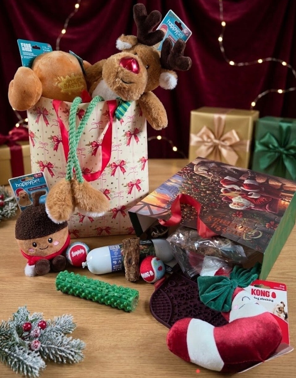 SantaPaws medium: Het kerst cadeau pakket