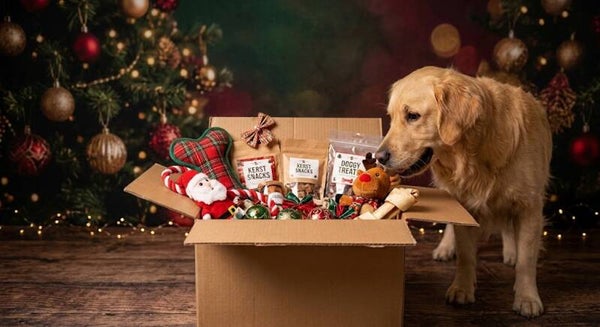 SantaPaws Large: Het Complete Kerst Luxe Pakket