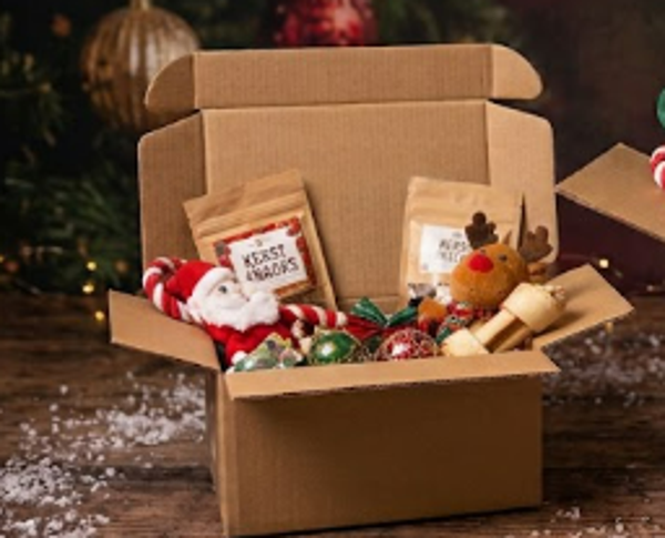 SantaPaws medium: Het kerst cadeau pakket