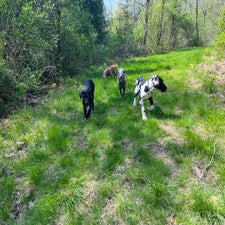 img_6706.jpeg