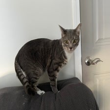 img_4565.jpeg