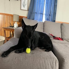 img_4024.jpeg