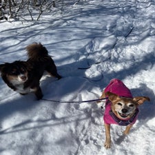 img_5050-1.jpeg