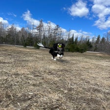 img_5861.jpeg