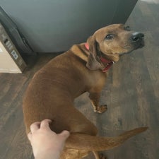 img_6611-1.jpeg