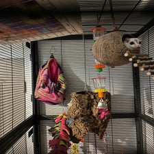img_5162.jpeg